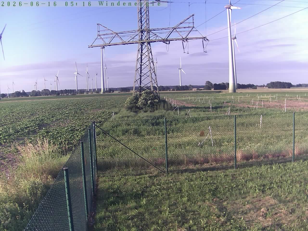 Bild 61