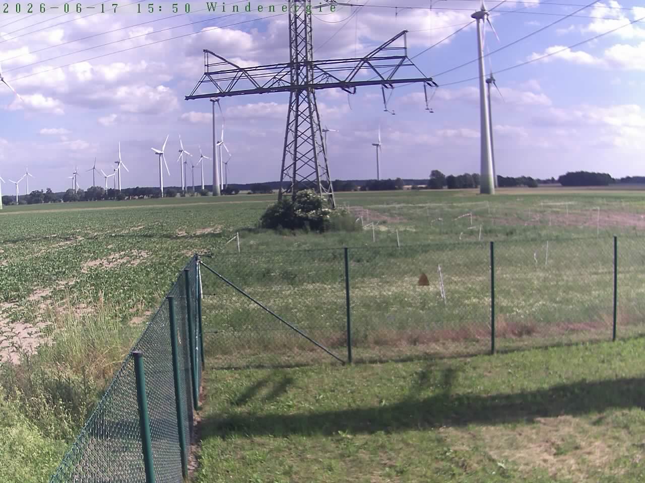 Bild 41