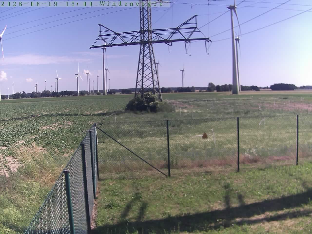 Bild 15