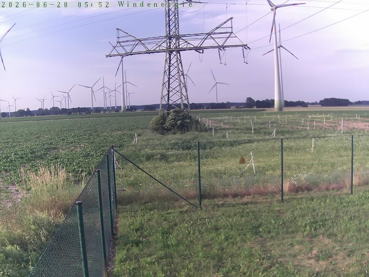 Bild 7