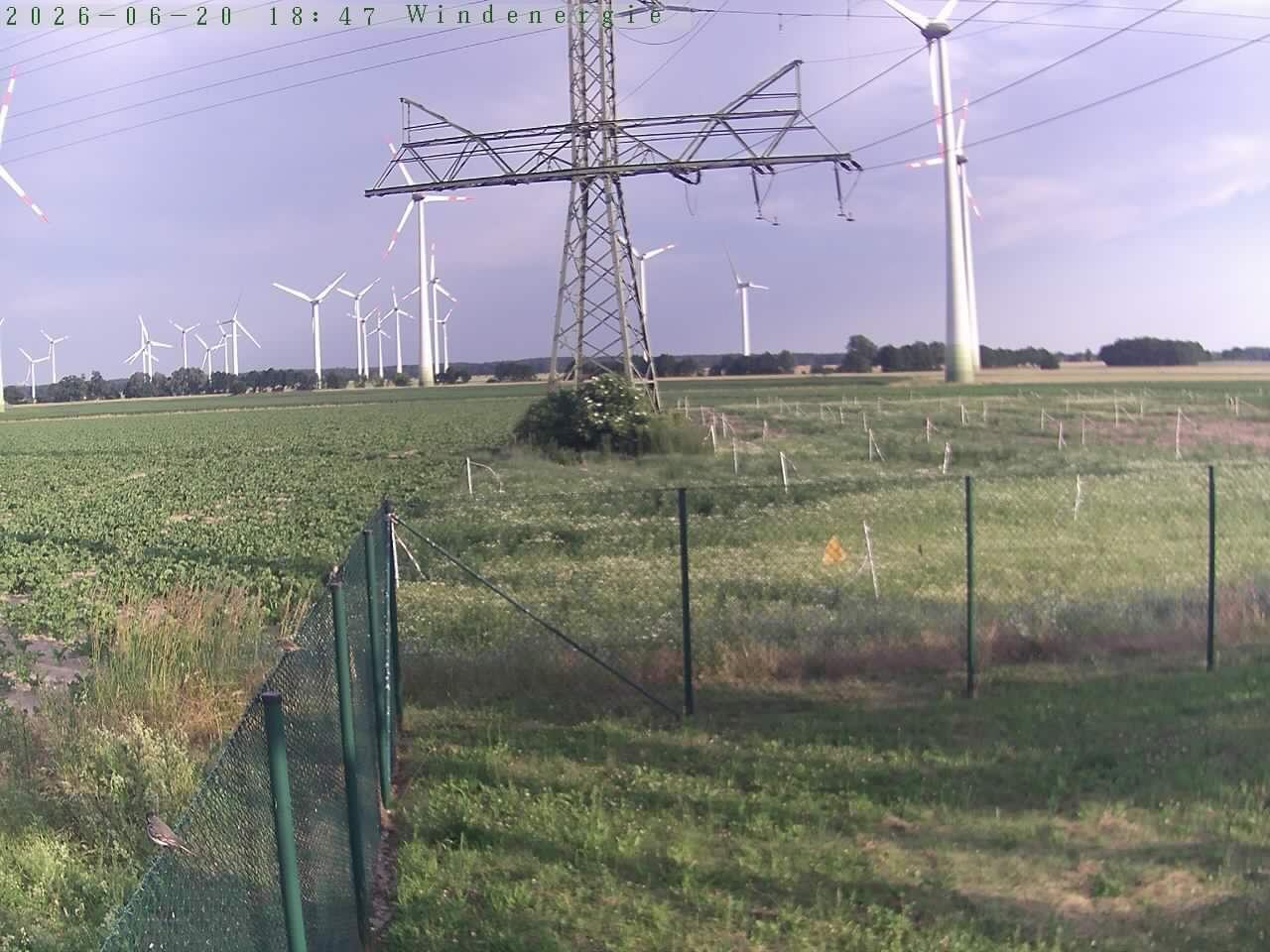 Bild 0