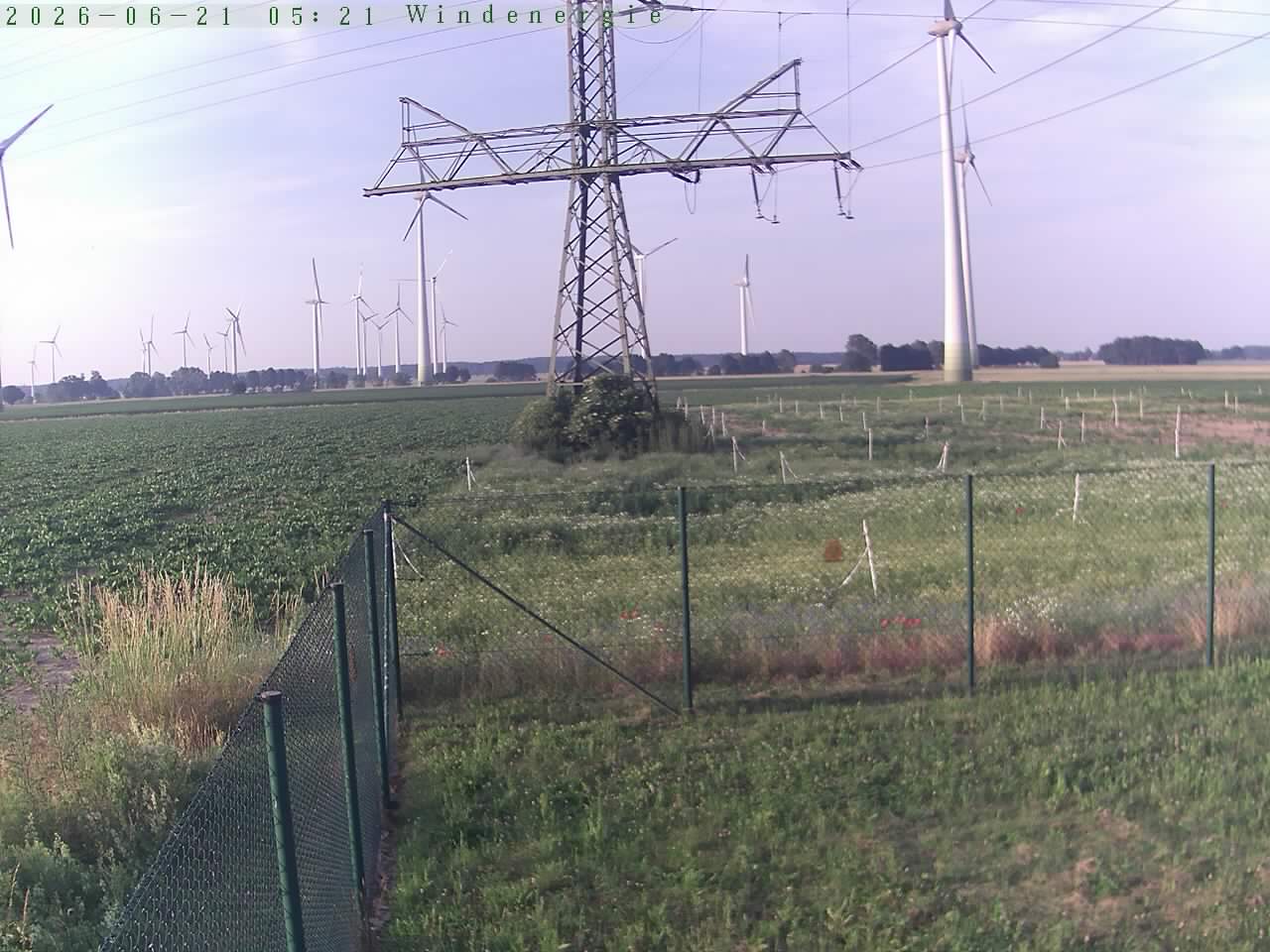 Bild 617
