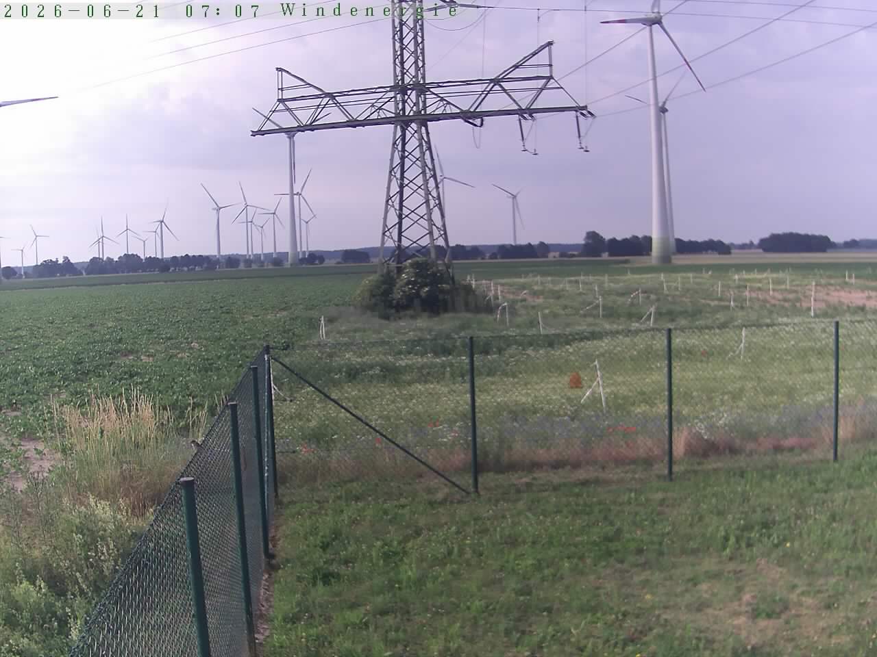 Bild 616