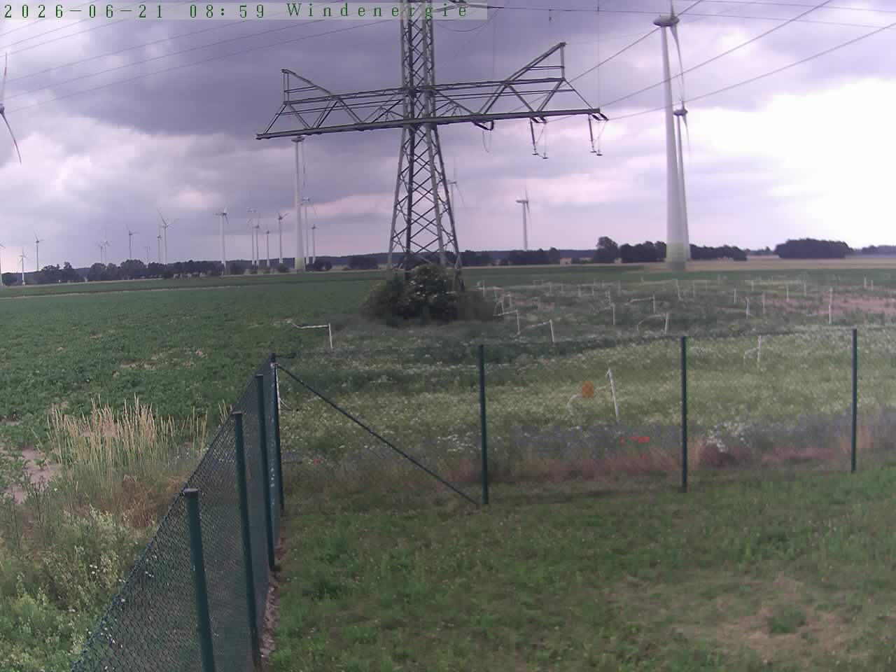 Bild 615