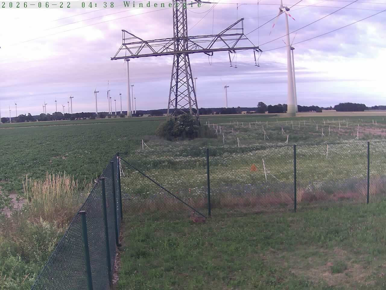 Bild 604