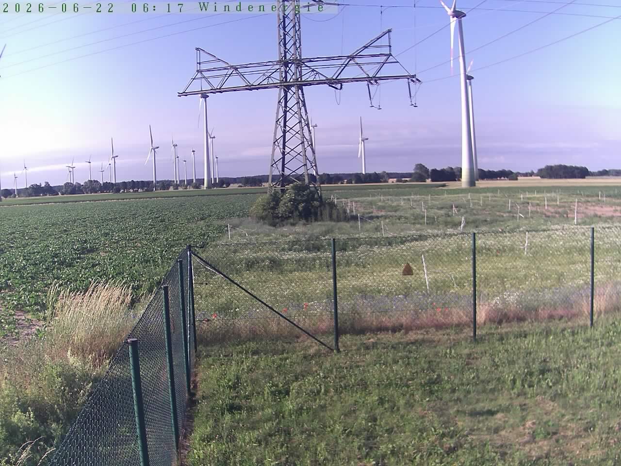 Bild 603