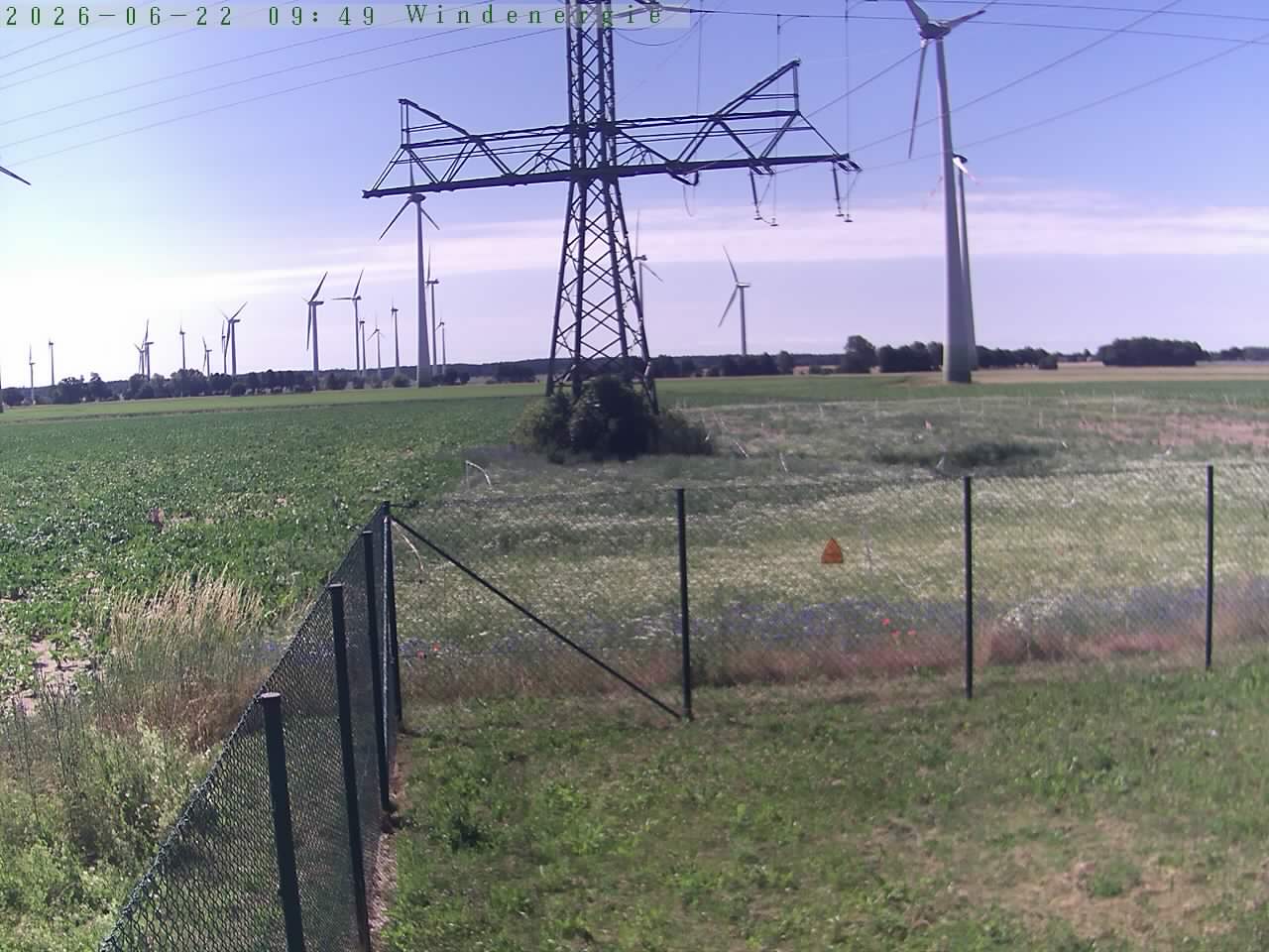 Bild 601