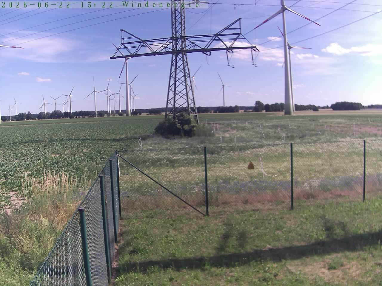 Bild 598