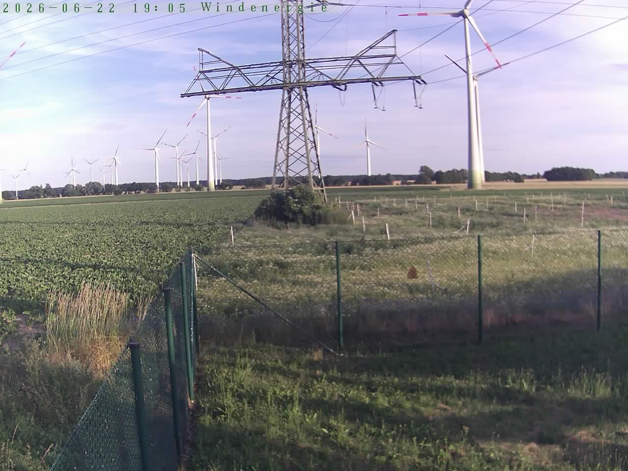 Bild 596