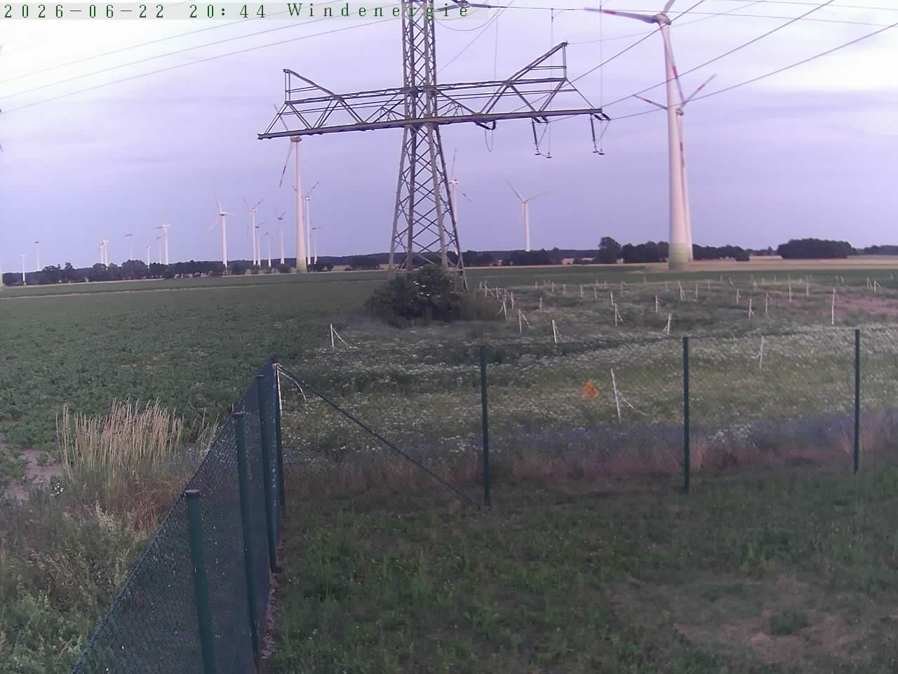 Bild 595