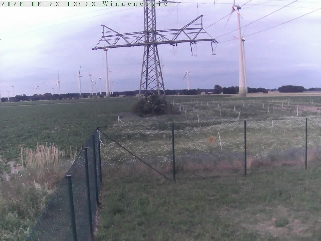 Bild 591