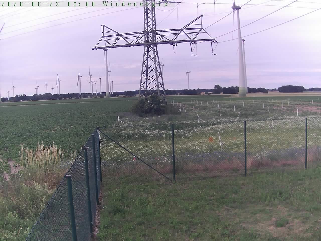 Bild 590
