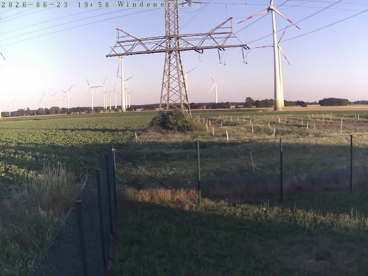 Bild 582