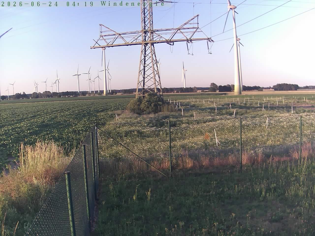 Bild 577