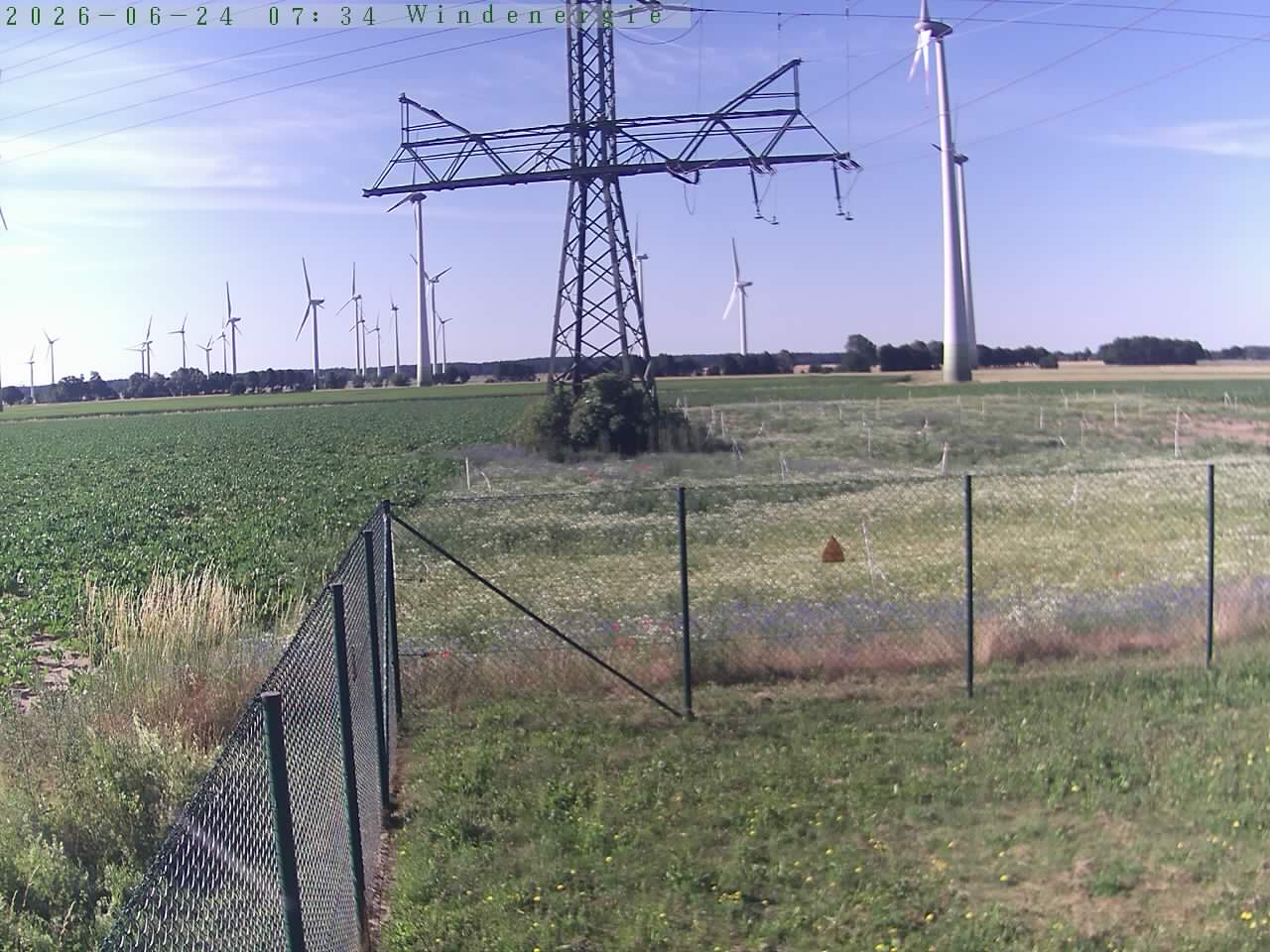 Bild 575