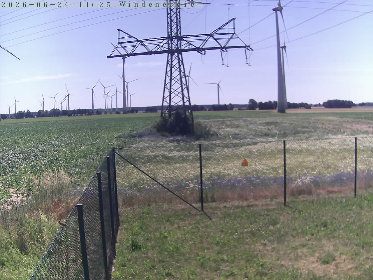 Bild 573