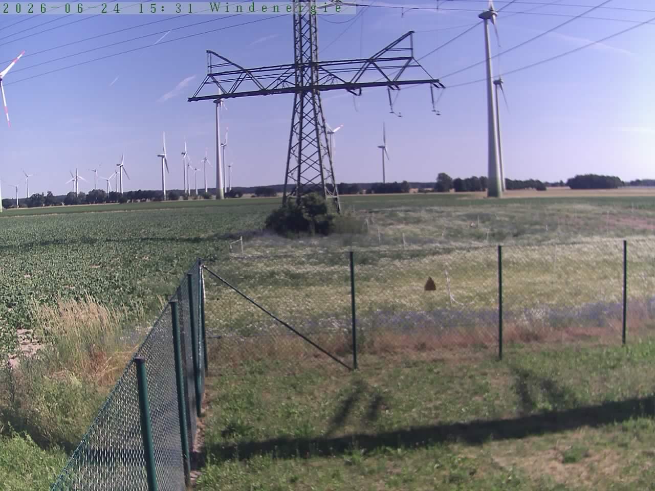 Bild 571