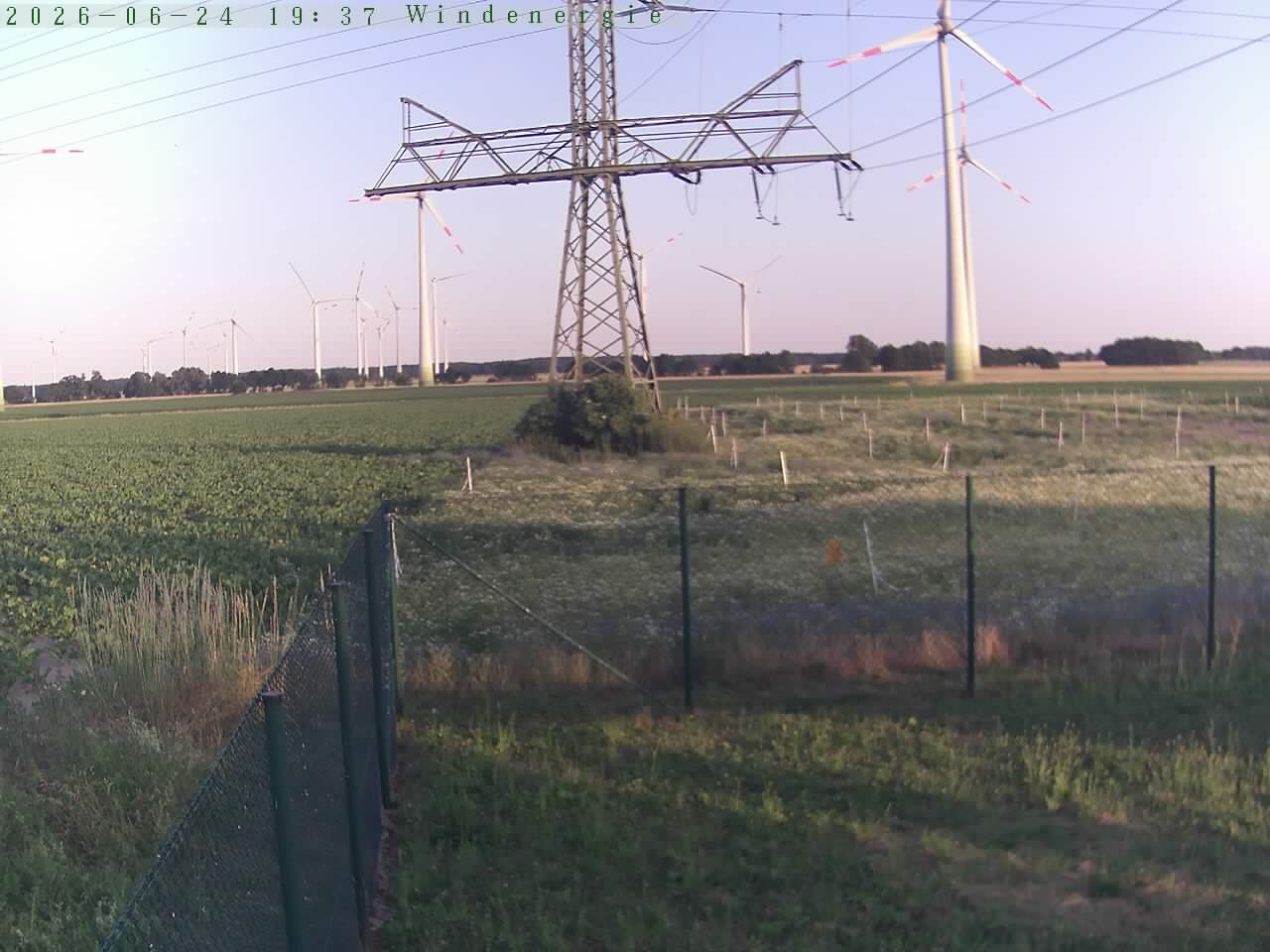 Bild 569