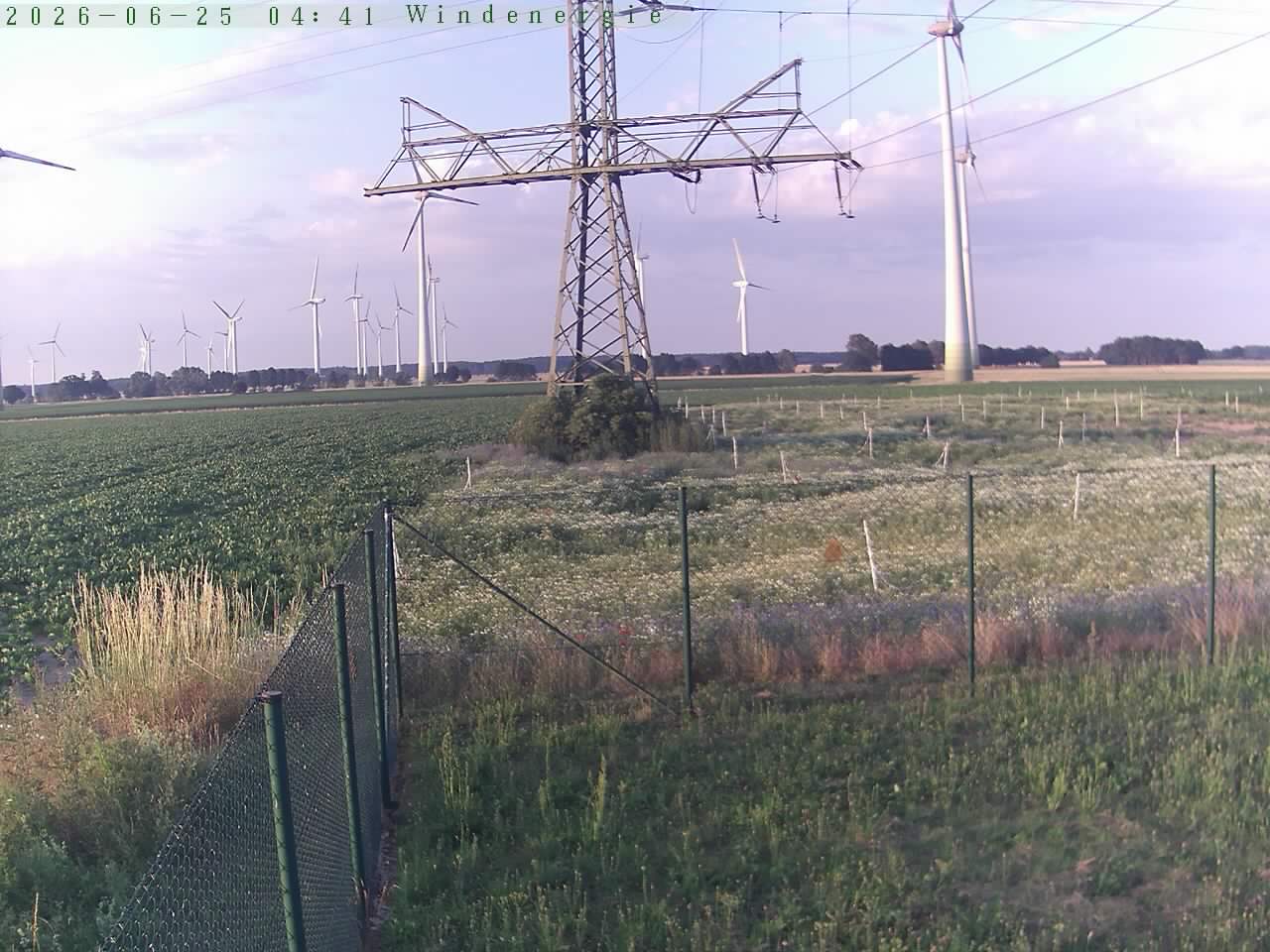 Bild 564