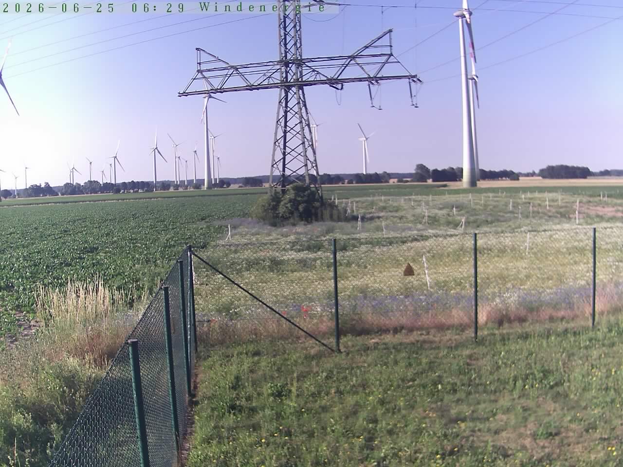 Bild 563