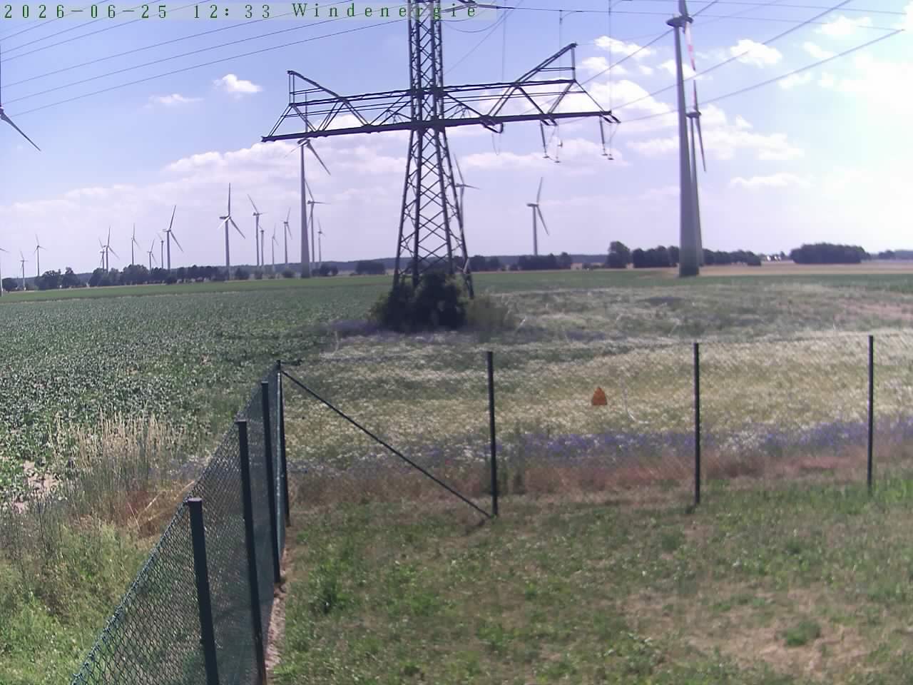 Bild 560