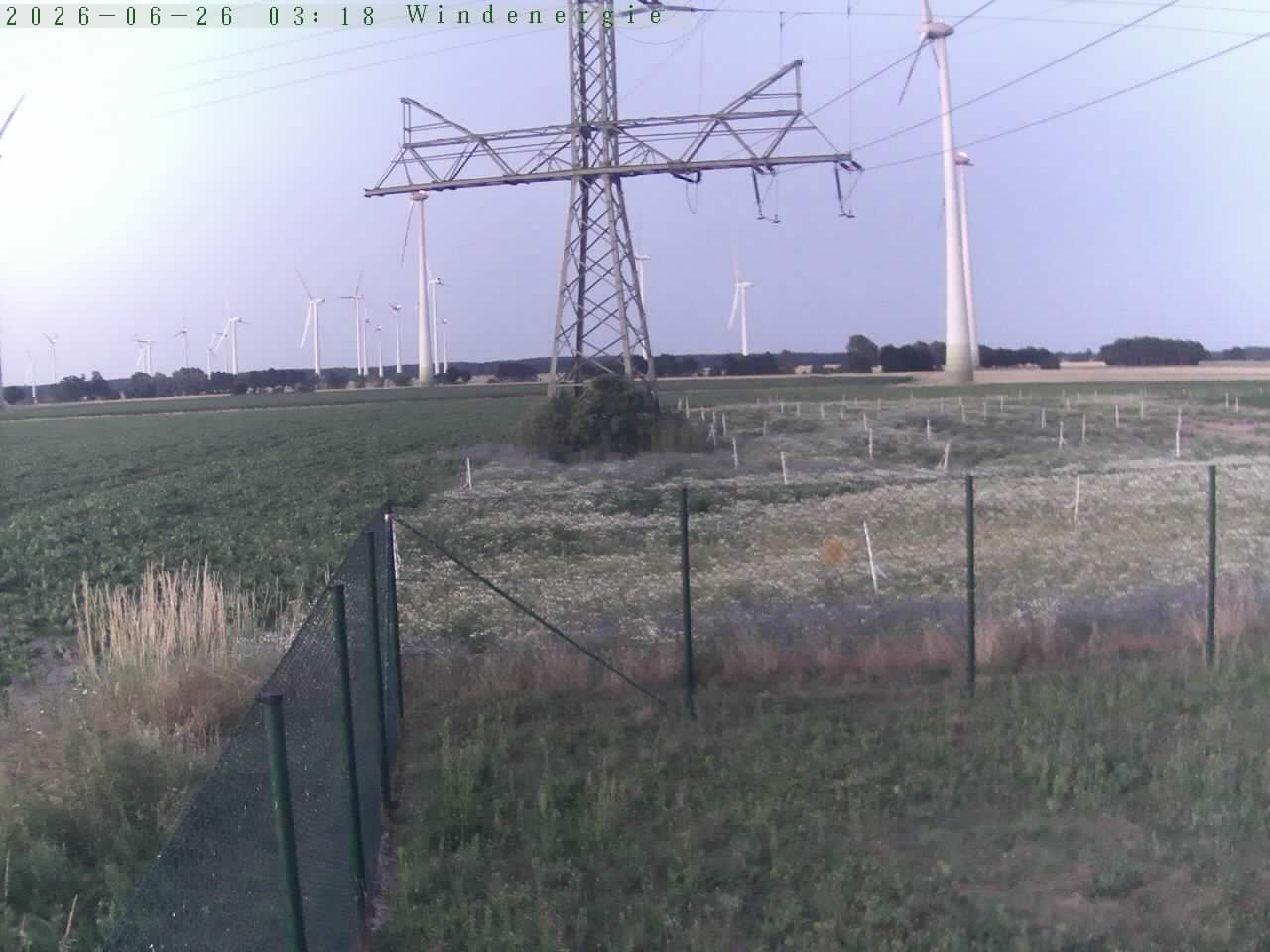 Bild 552