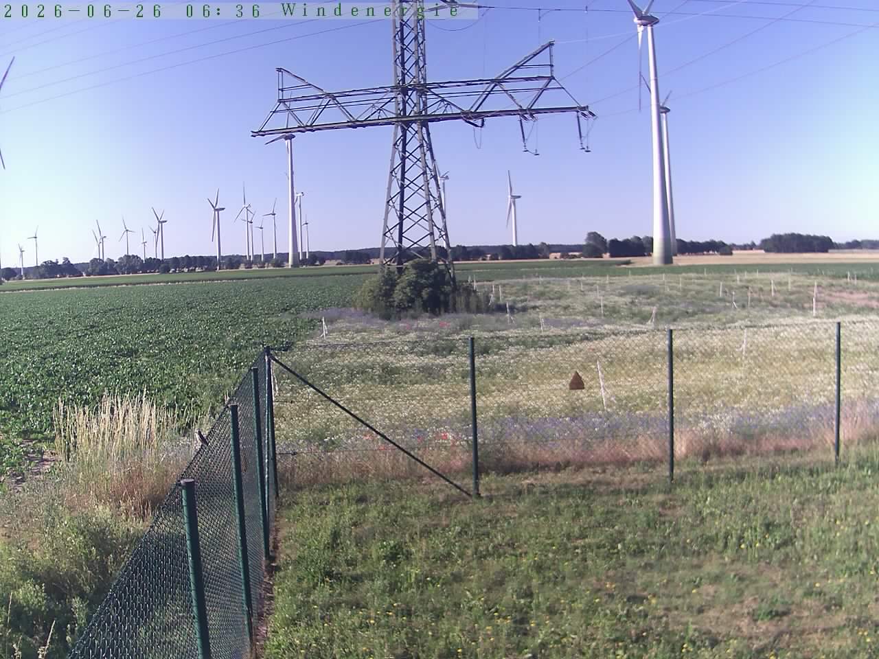 Bild 550