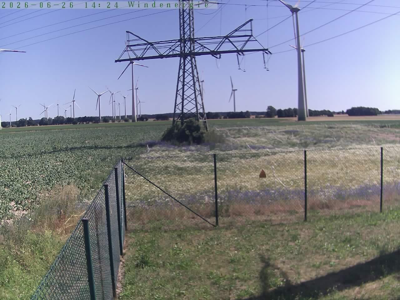 Bild 546
