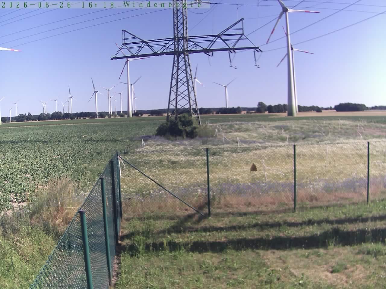 Bild 545