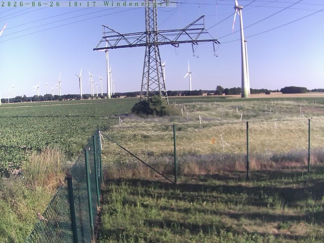 Bild 544