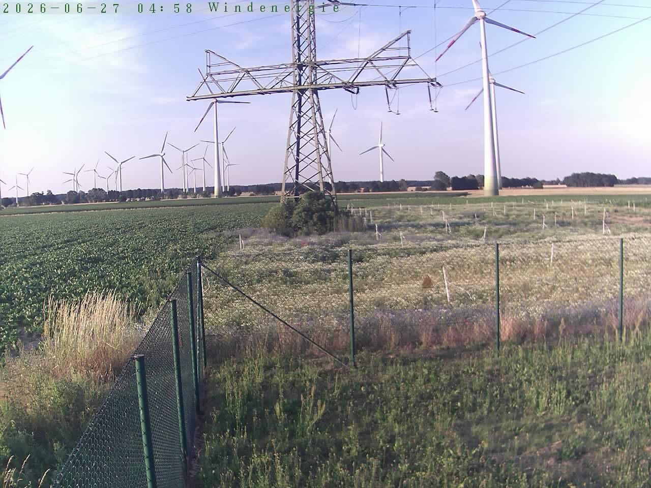 Bild 538