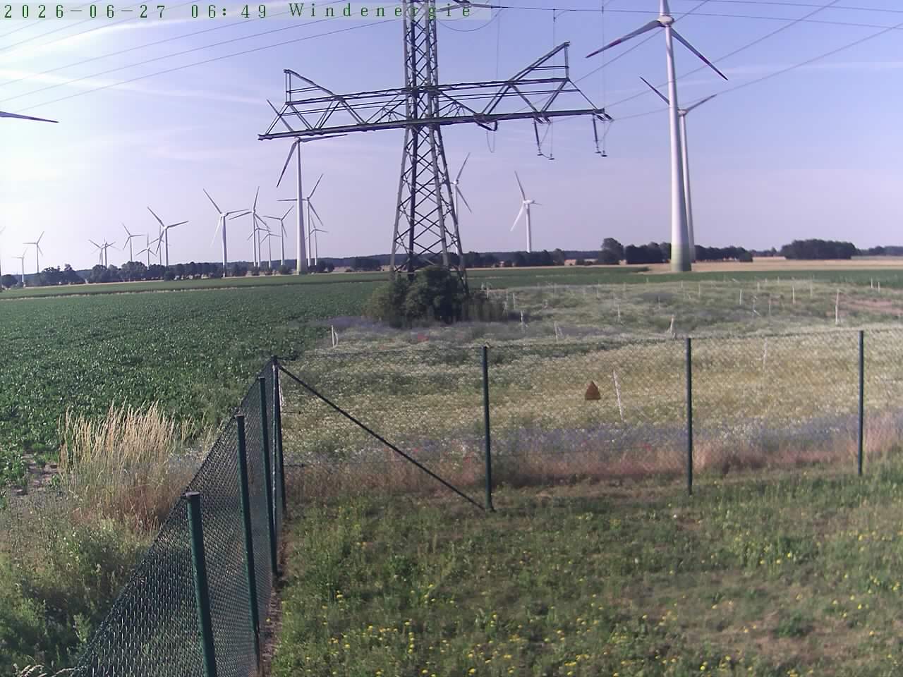 Bild 537