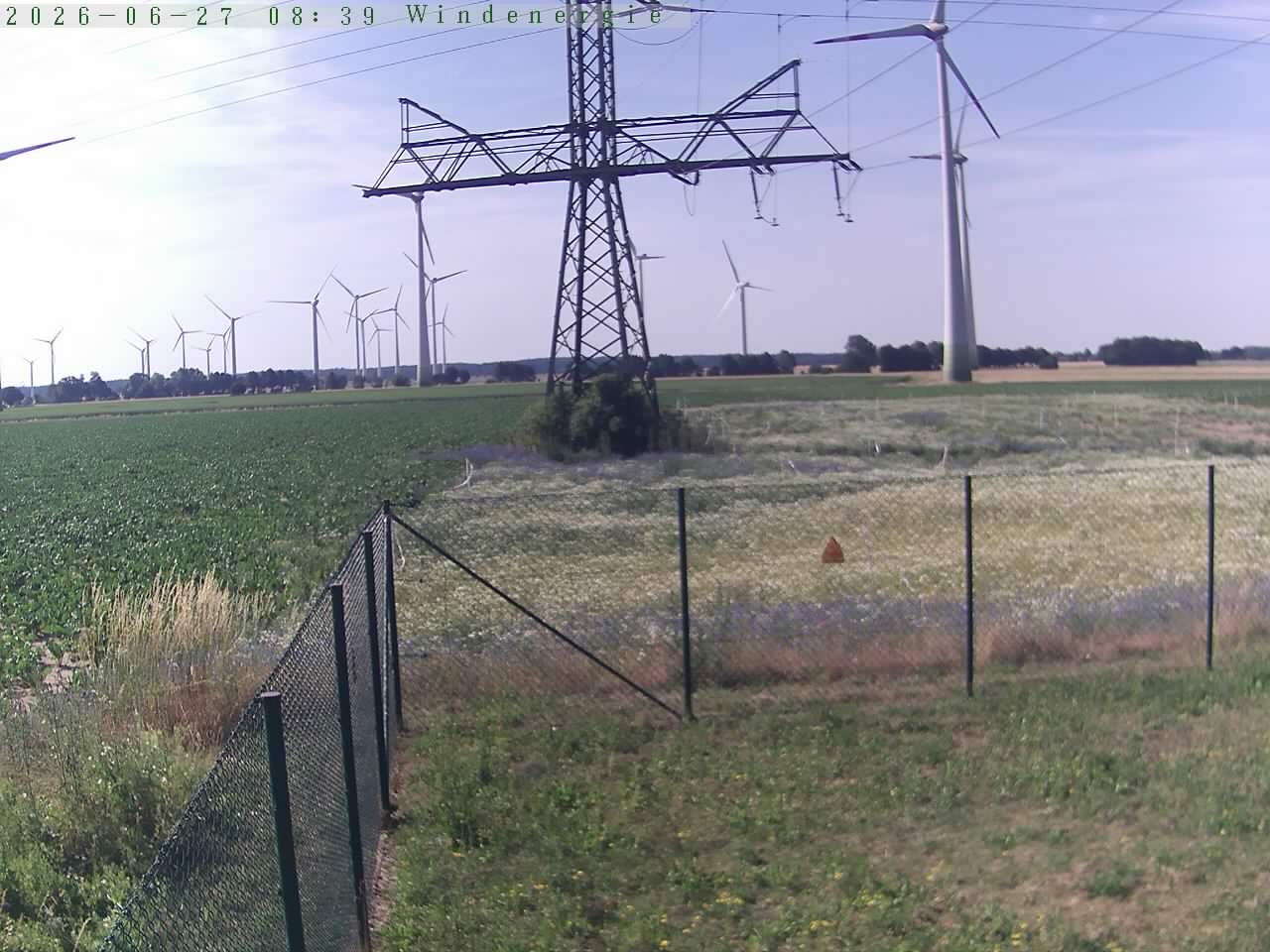 Bild 536