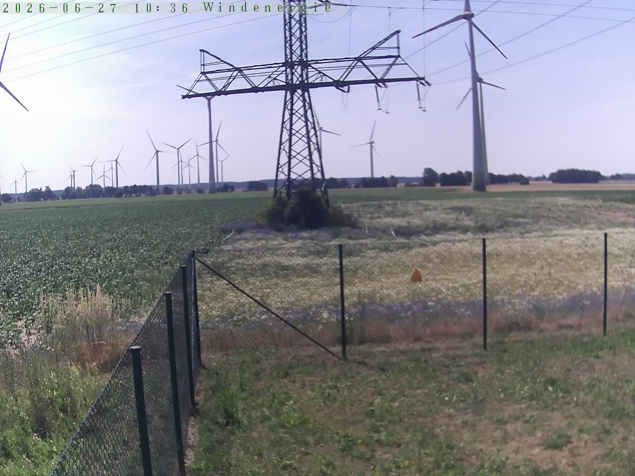 Bild 535