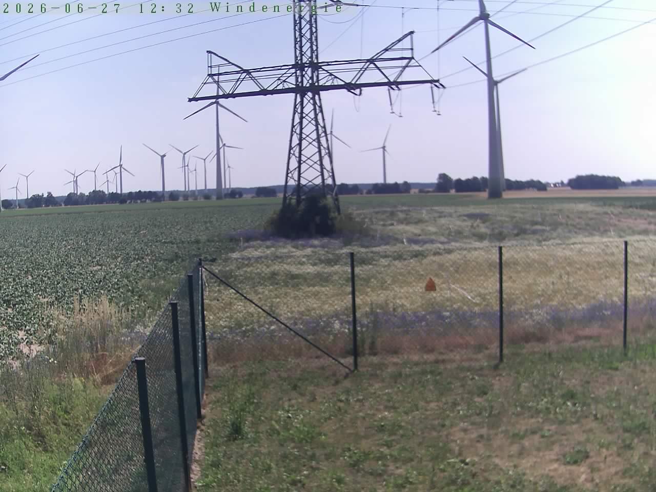 Bild 534