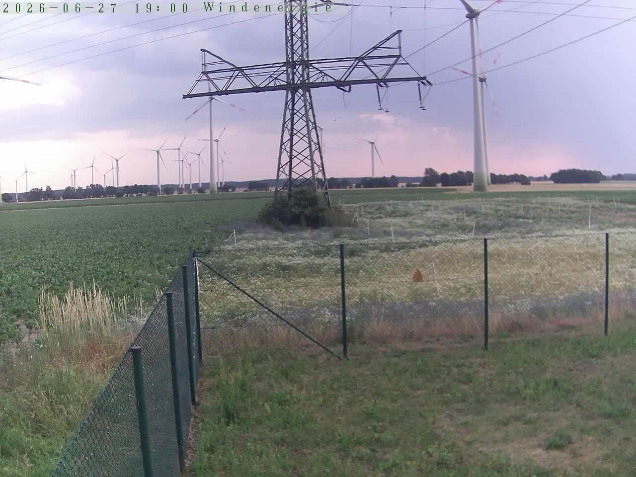 Bild 531