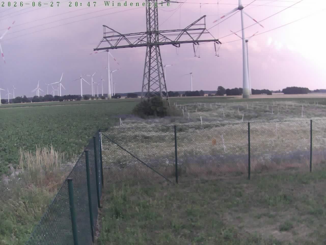 Bild 530