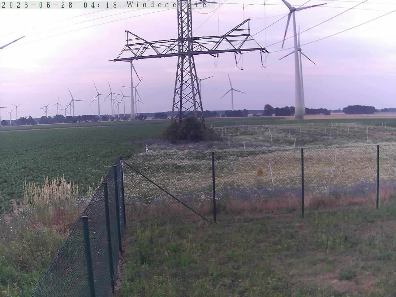Bild 526