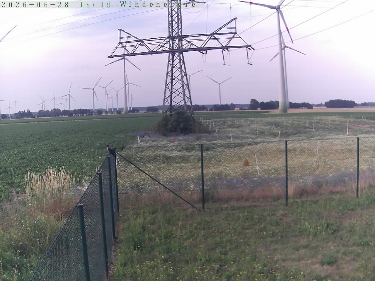 Bild 525