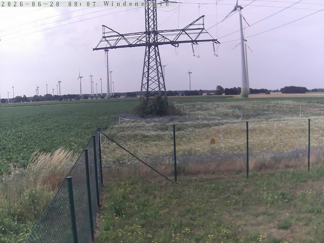 Bild 524