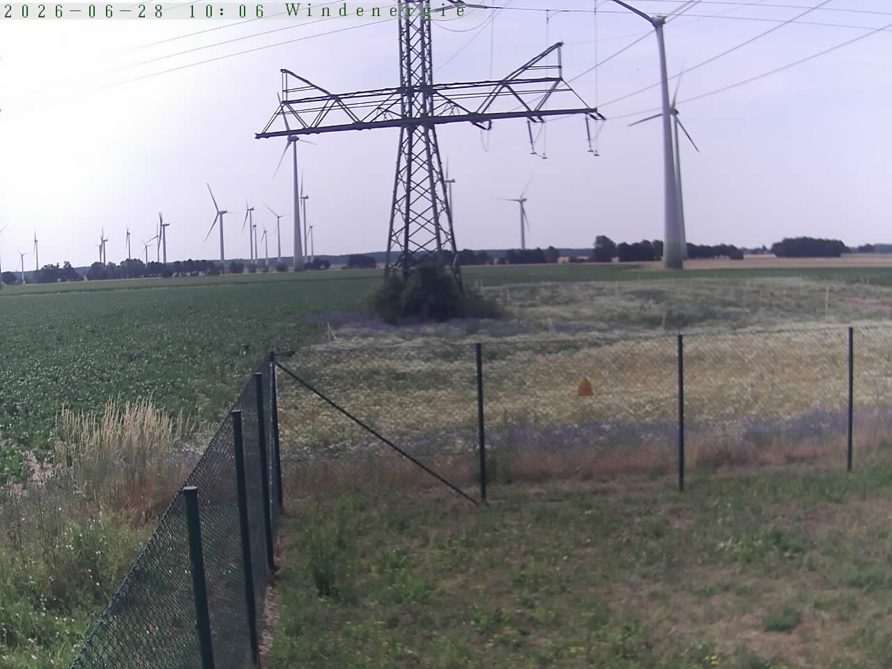 Bild 523
