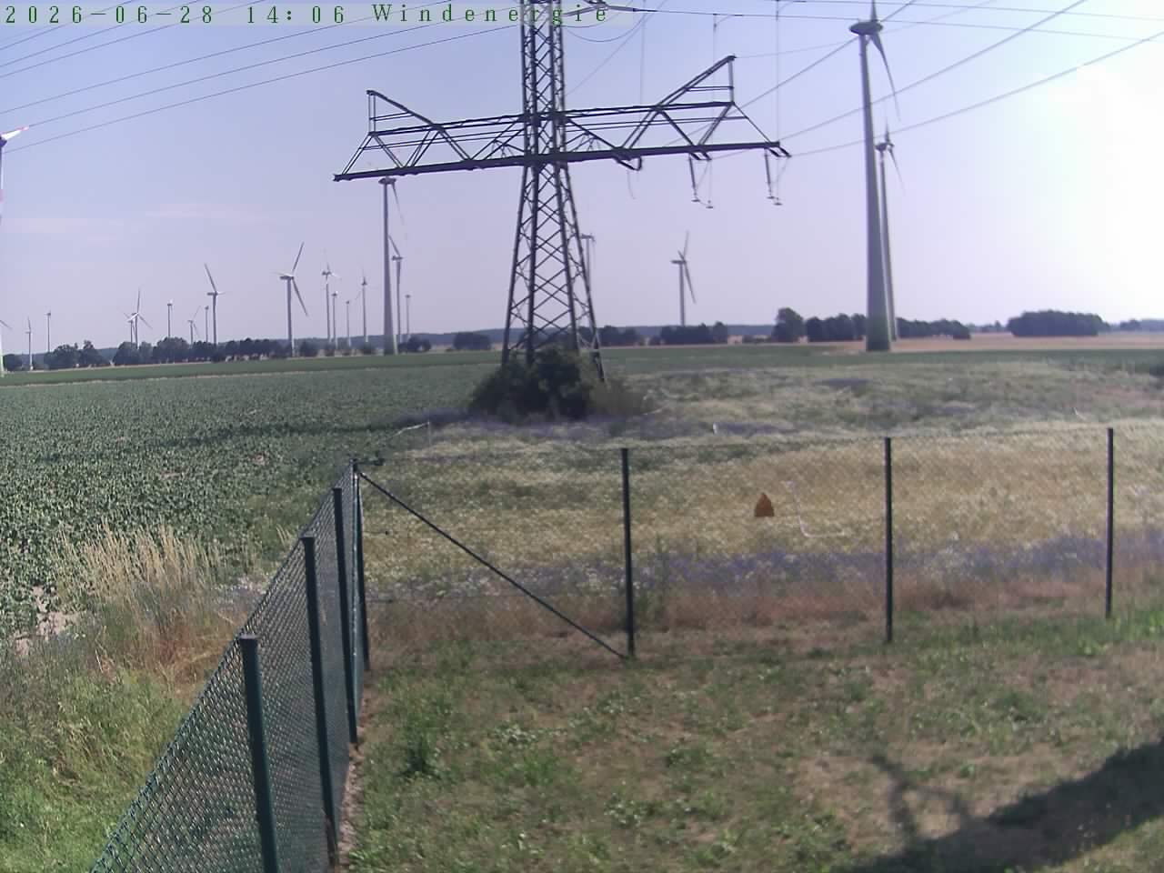 Bild 521