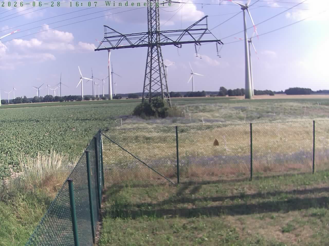 Bild 520