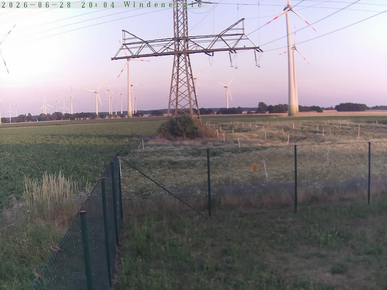 Bild 518