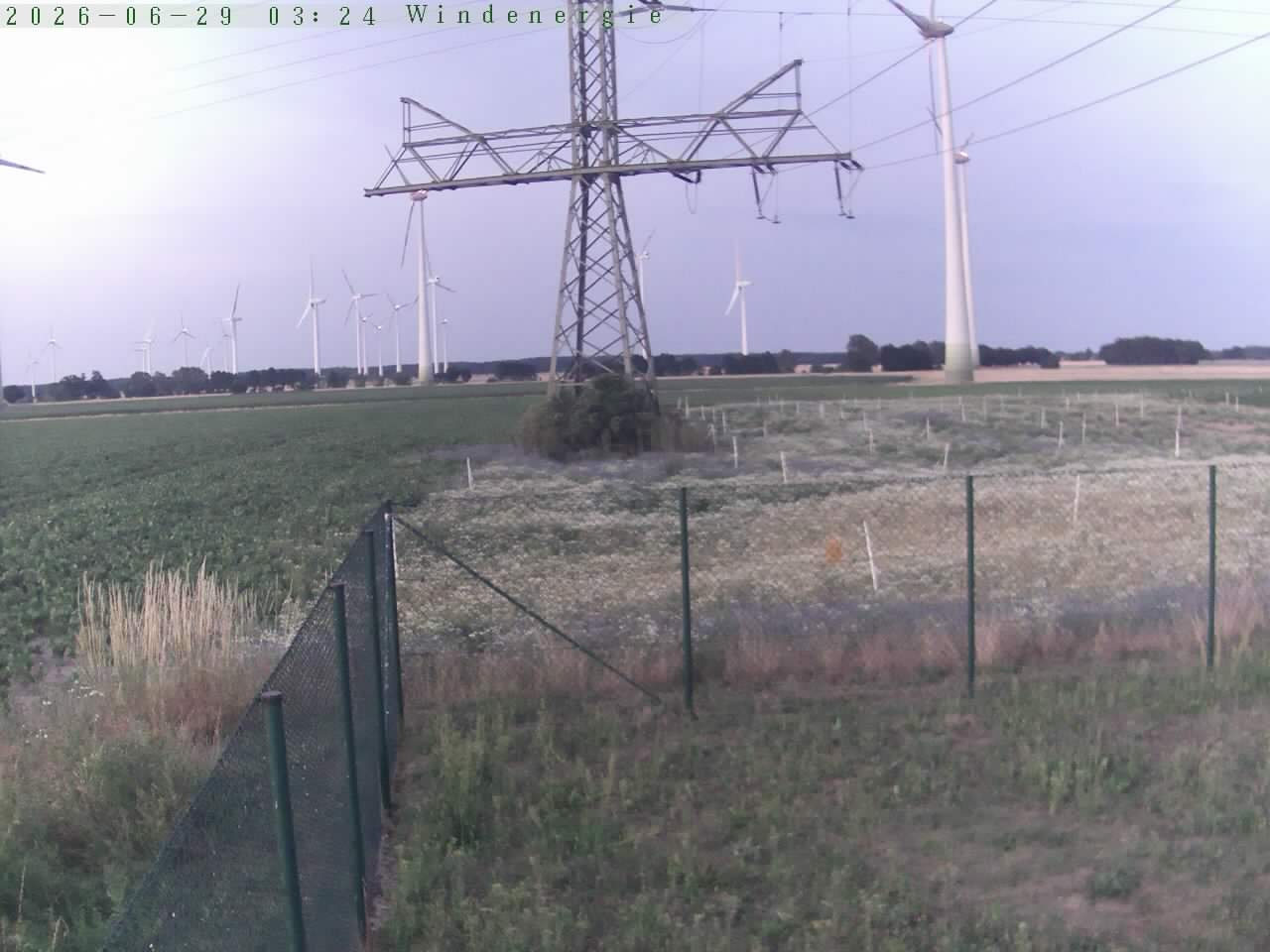 Bild 514
