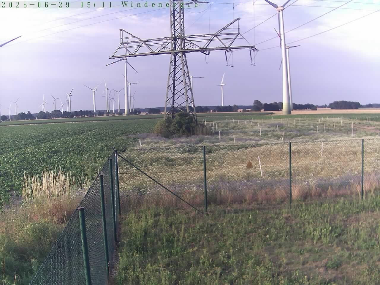 Bild 513