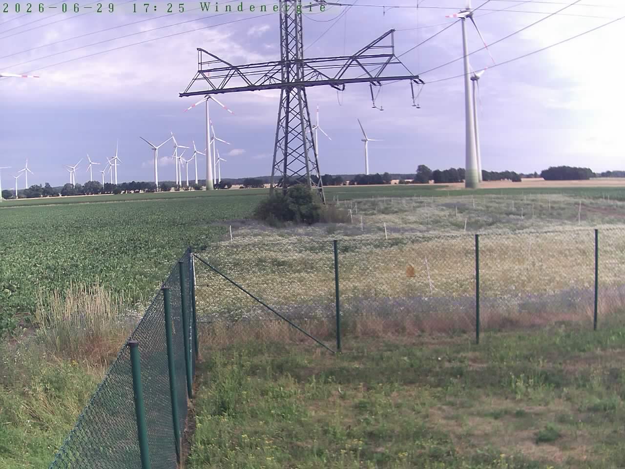 Bild 506