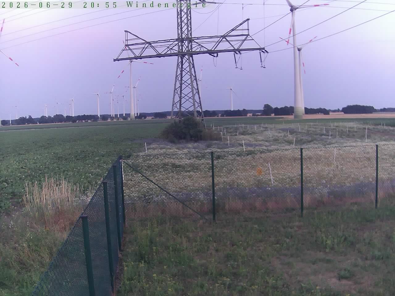 Bild 504