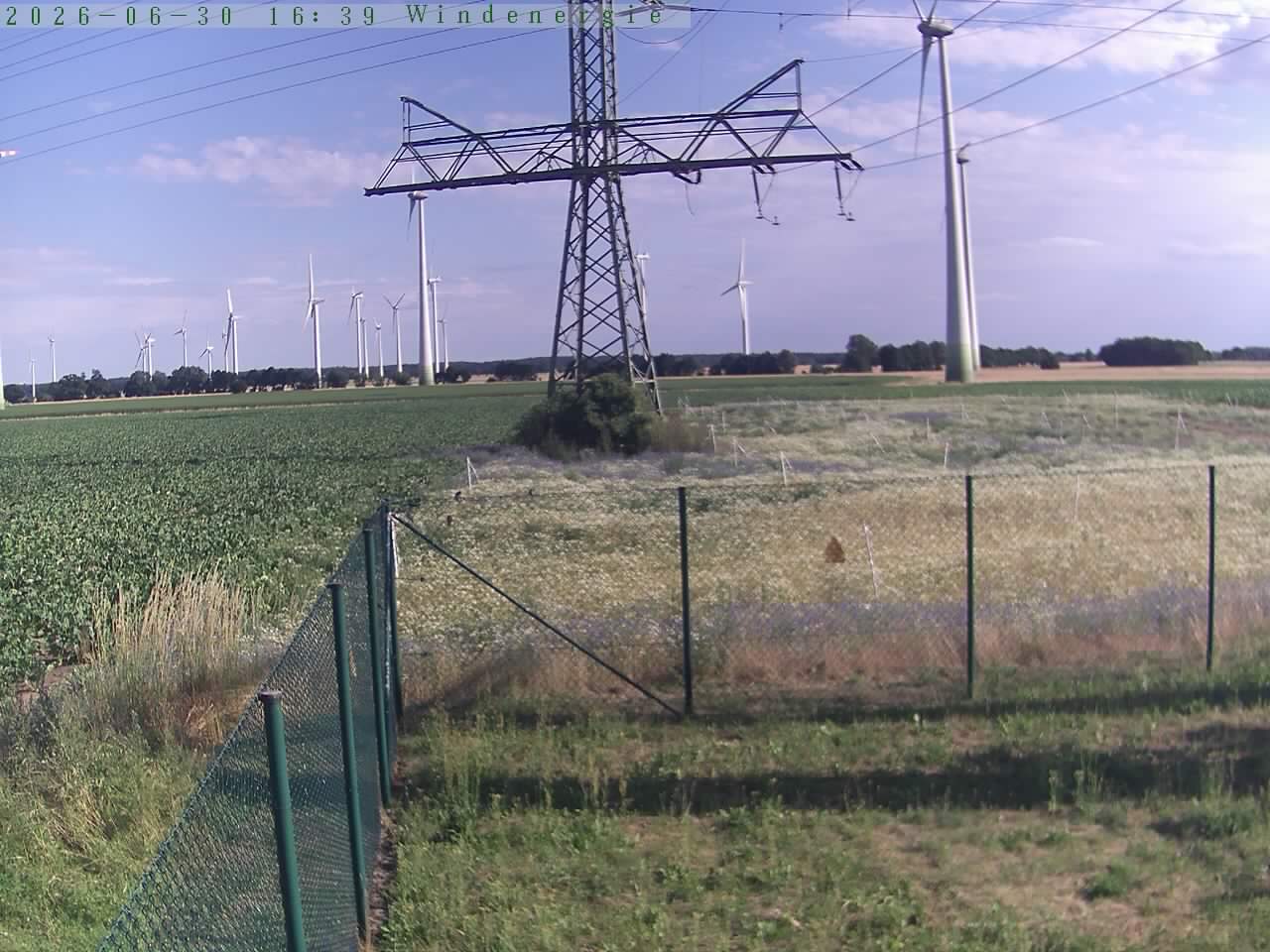 Bild 493