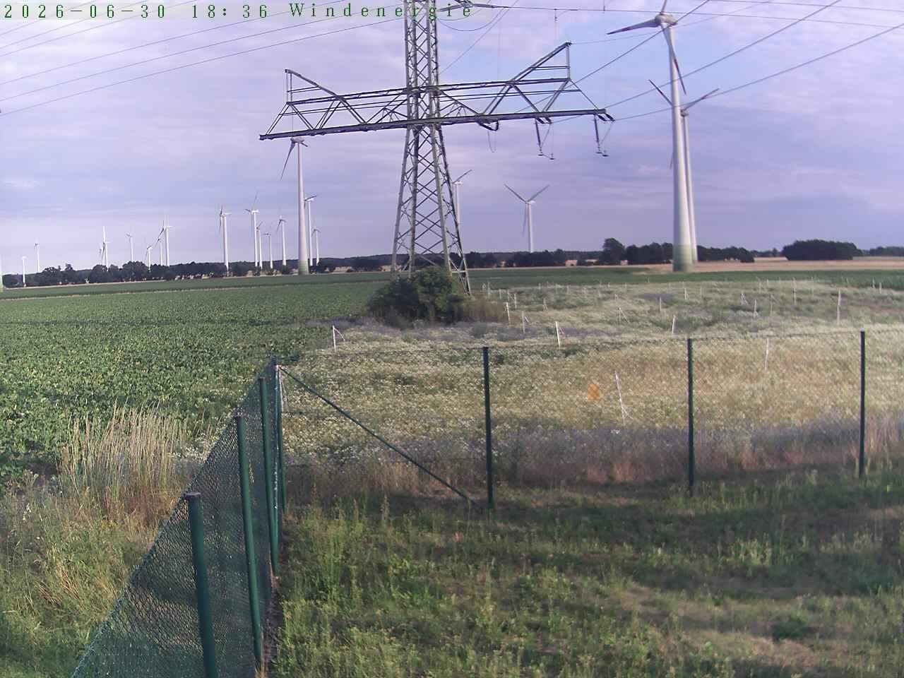 Bild 492